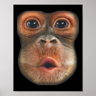 Affiche Singe qui gonfle le visage avec l'estomac