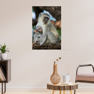 Affiche Singe Vervet Expressif en Afrique