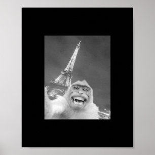 Affiche Singes drôles selfie tour Eiffel à Paris hommes fe