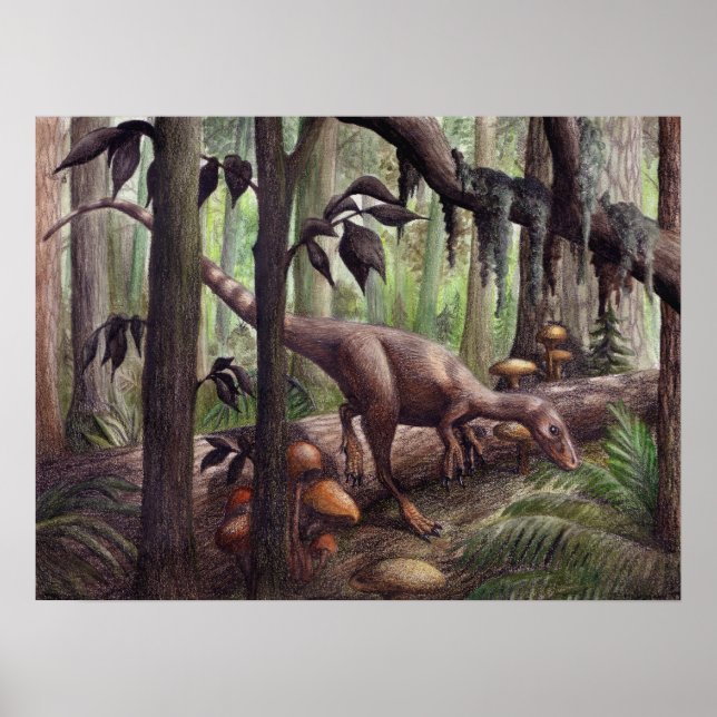 Affiche Sinosauropteryx Imprimer (Devant)