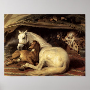 Affiche Sir Edwin Henry Landseer   La tente arabe