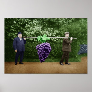 Affiche Sir Frank Crisp à l'affiche du parc friar