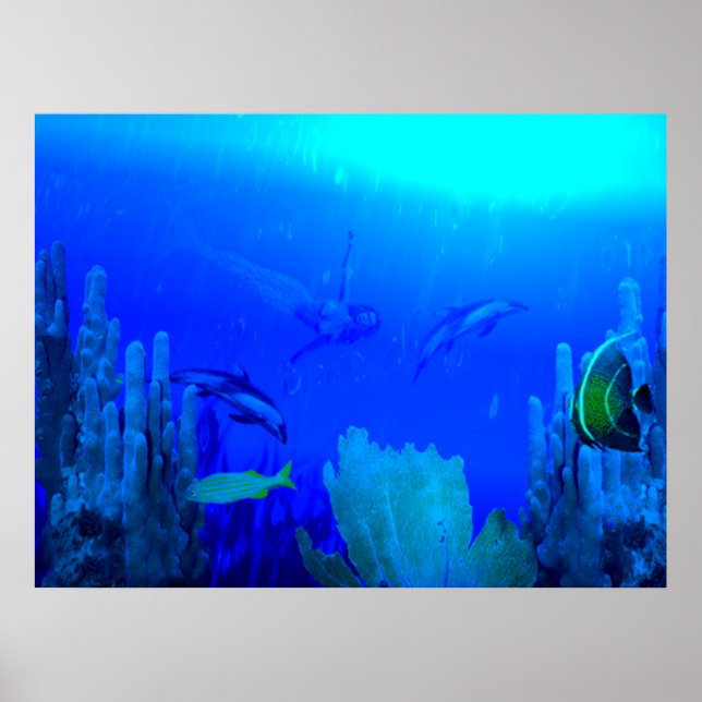 Affiche Siraid ~Print~ (Devant)