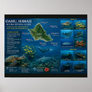 Affiche Sites de plongée à Hawaï