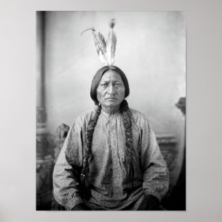 Affiche Sitting Bull Portrait - Vers 1883