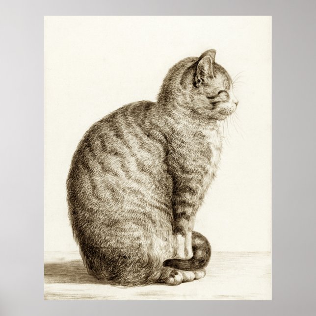 Affiche Sitting cat vintage sepia pencil drawing (Devant)