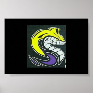 Affiche SK Cobra