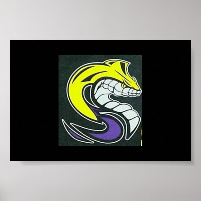 Affiche SK Cobra (Devant)