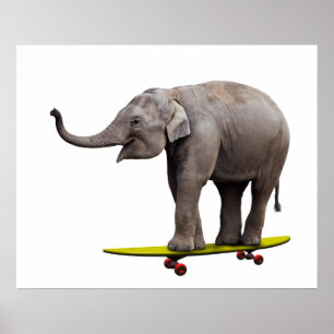 Affiche Skateboard éléphant