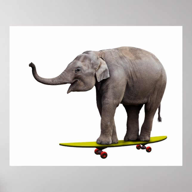 Affiche Skateboard éléphant (Devant)