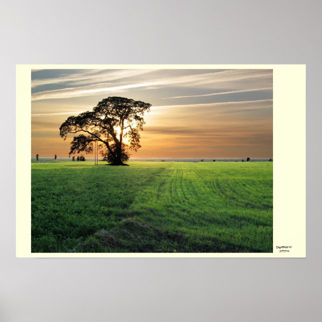 Affiche Skati de Kurzemes (Devant)