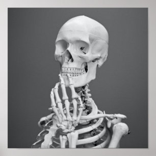 Affiche Skeleton Skeleton Halloween gris noir et blanc