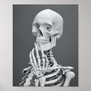 Affiche Skeleton Skeleton Halloween gris noir et blanc