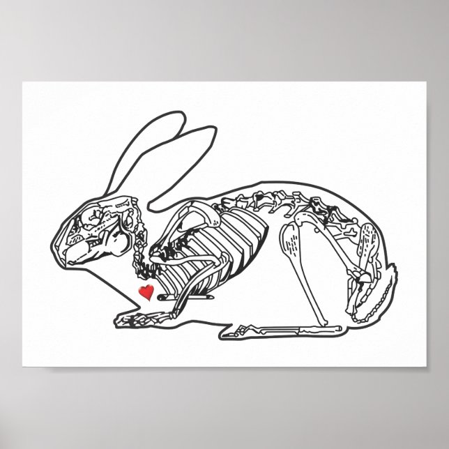 AFFICHE SKELY BUN (Devant)