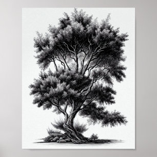 Affiche Sketch Détaillé De L'Arbre Noir Et Blanc