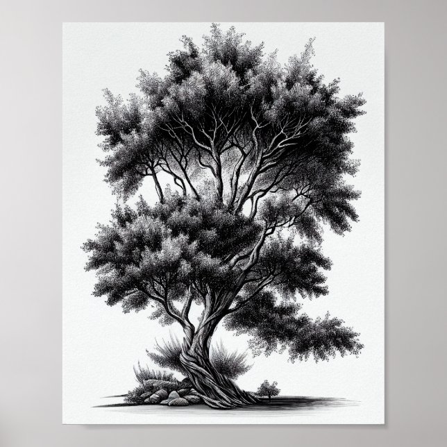 Affiche Sketch Détaillé De L'Arbre Noir Et Blanc (Devant)