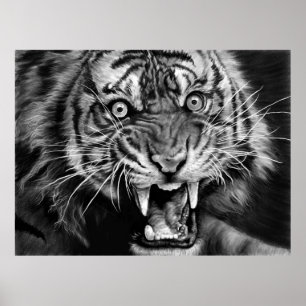 Affiche Sketch of a wild tiger in black and whiteblack,whi