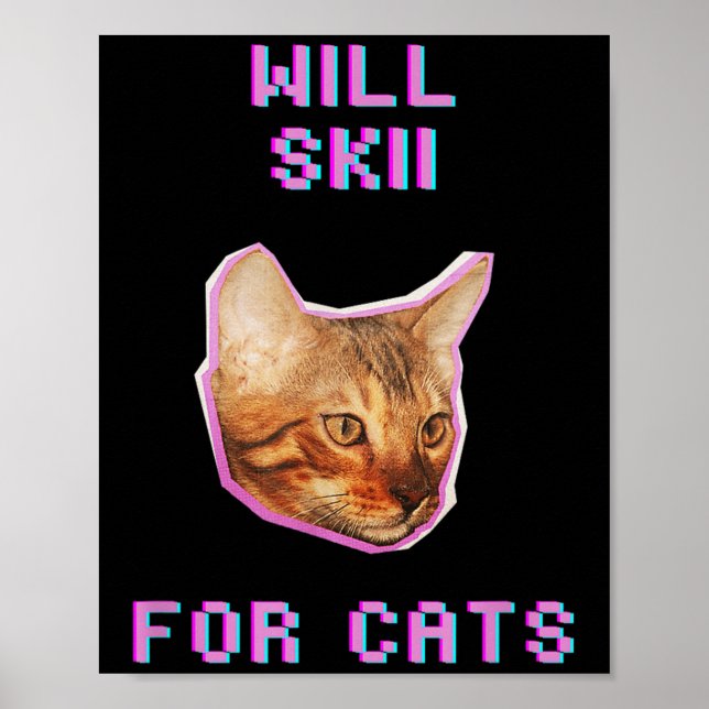 Affiche Skiing Pour Chats Aventure De Neige D'hiver Drôle  (Devant)