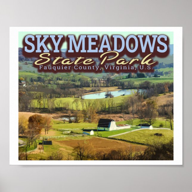 AFFICHE SKY MEADOWS - VIRGINIE (Devant)
