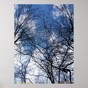 AFFICHE SKY WEBBBED.