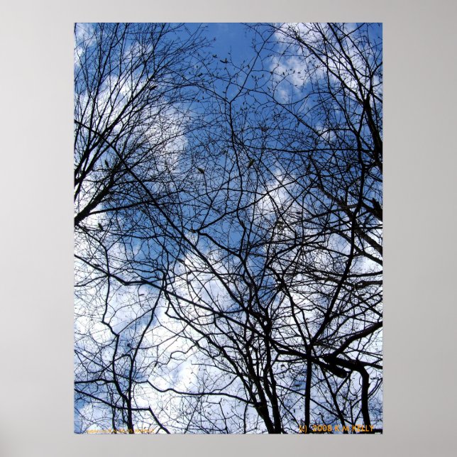 AFFICHE SKY WEBBBED. (Devant)