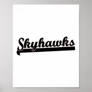 Affiche Skyhawks Lacrosse Volleyball Skydiving Basket