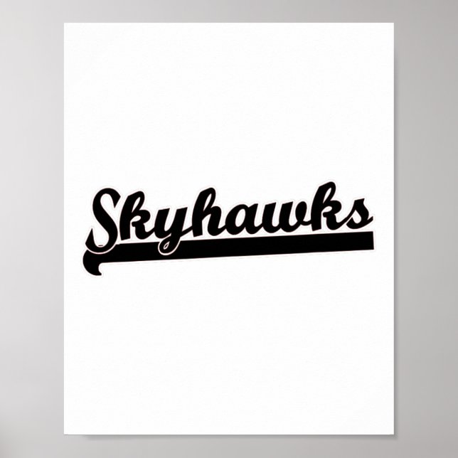 Affiche Skyhawks Lacrosse Volleyball Skydiving Basket (Devant)