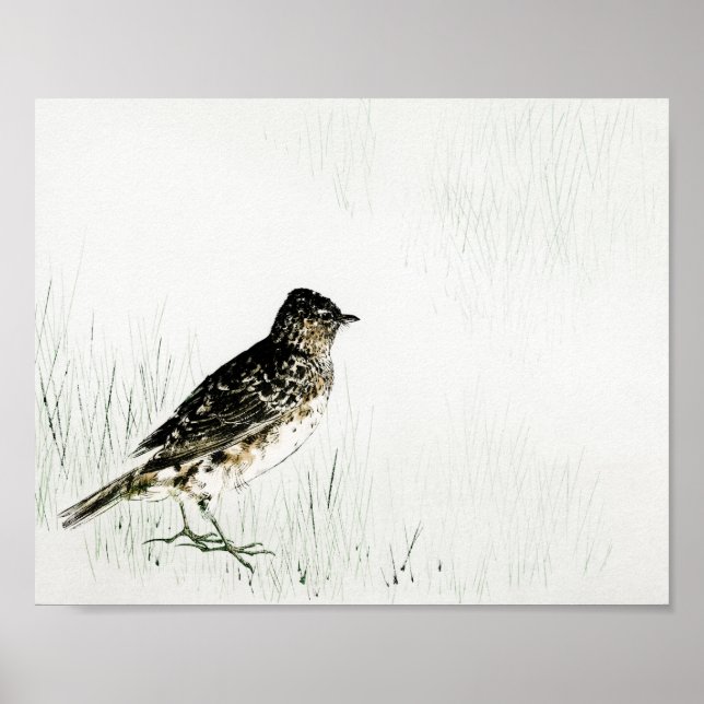 Affiche Skylark Bird, Watanabe Seitei (Devant)