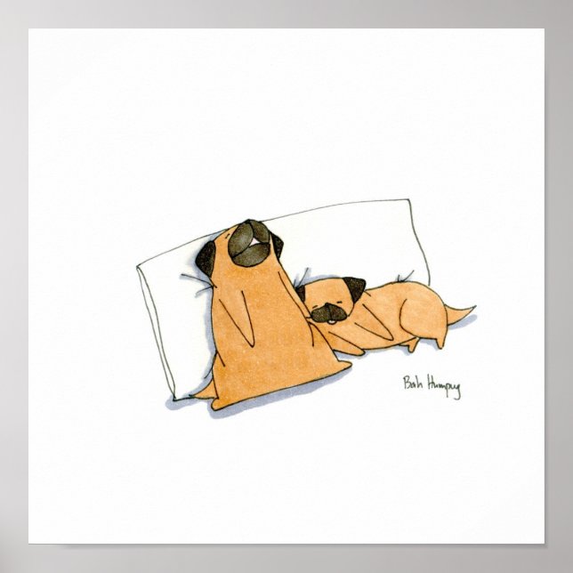 Affiche Sleepy Pugs (Devant)