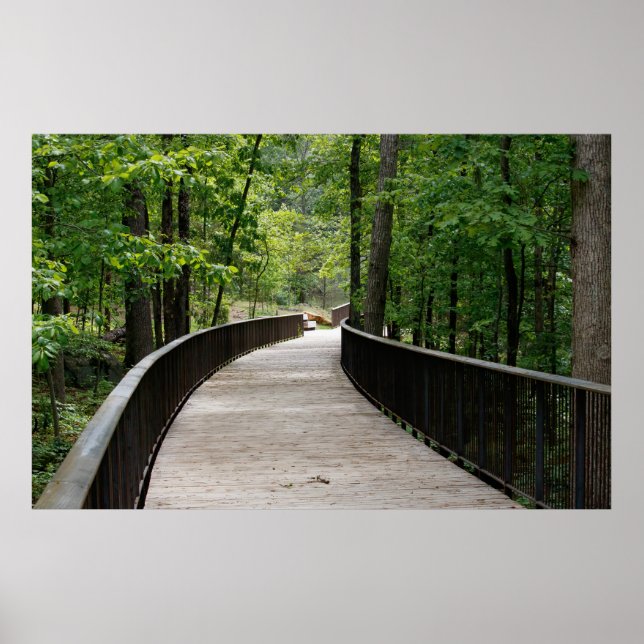 Affiche Slightly Curved (Devant)