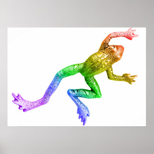 Affiche SlipperyJoe's Pride Frog animal crawling rainbow 