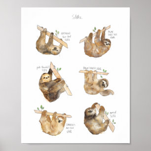 Affiche Sloths Classic