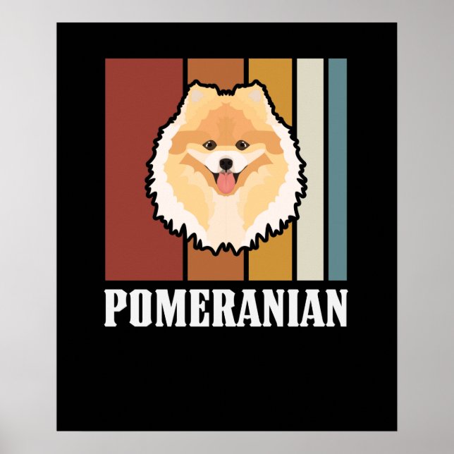 Affiche Smiling Pomeranian Retro (Devant)
