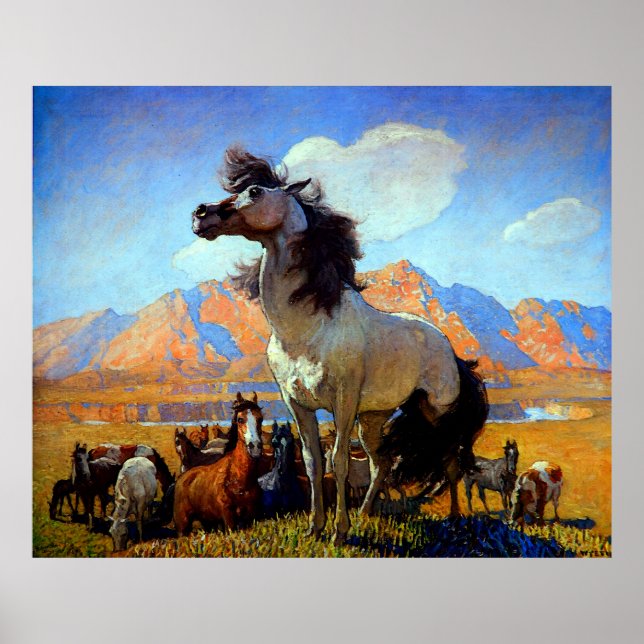 Affiche Smokey Face N C Wyeth Circa 1917 (Devant)