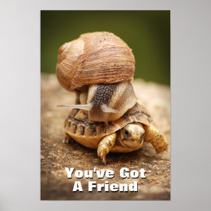 Affiche Snail Riding Baby Tortoise