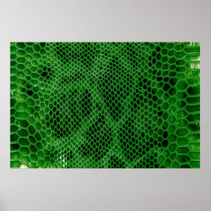 Affiche Snake skin background