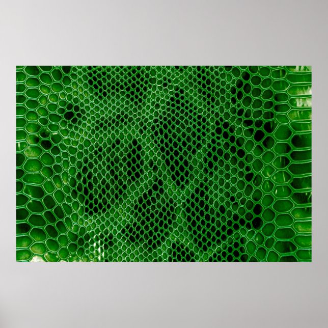 Affiche Snake skin background (Devant)