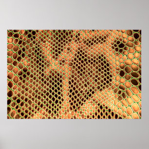 Affiche Snake skin background