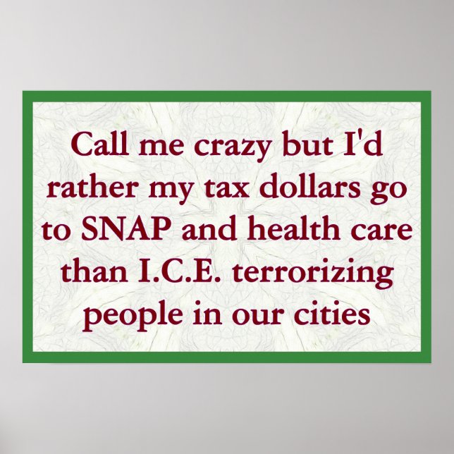 Affiche SNAP not ICE (Devant)