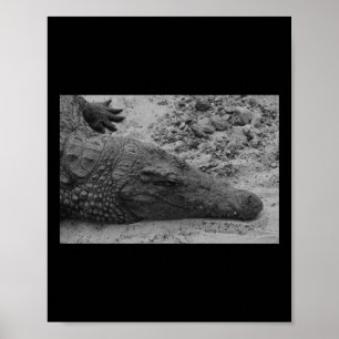 Affiche Snapper Croc Noir Et Blanc Espagne Verticale