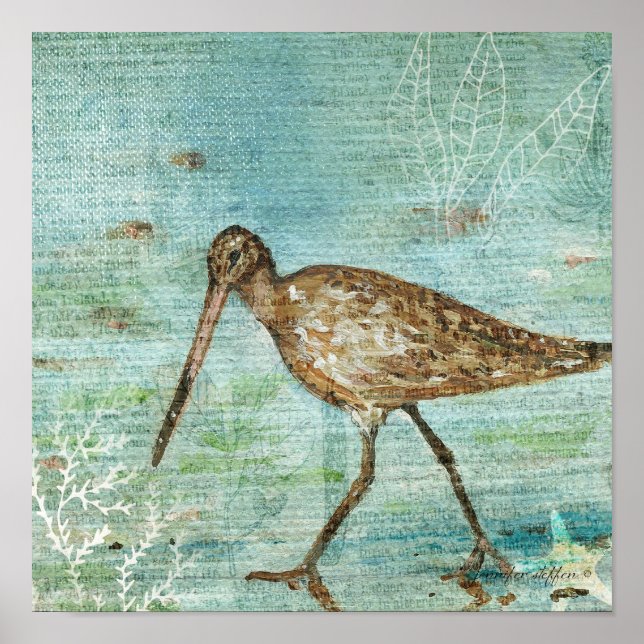 Affiche Snipe Coastal Shorebird (Devant)