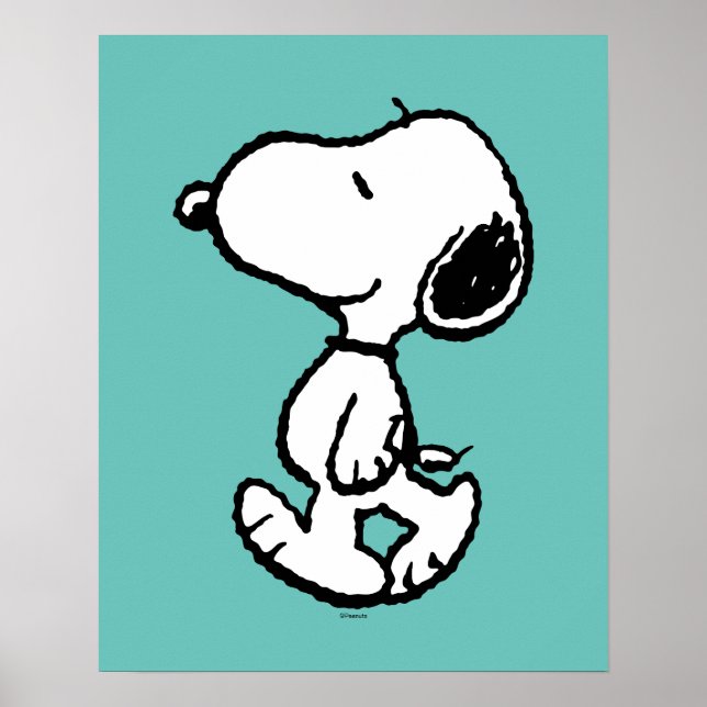 Affiche Snoopy Classic Comics (Devant)