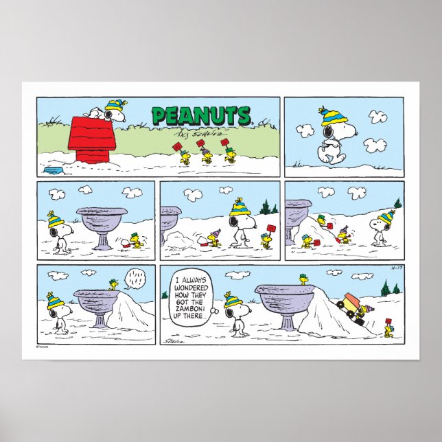 Affiche Snoopy et l'équipage Zamboni (Devant)