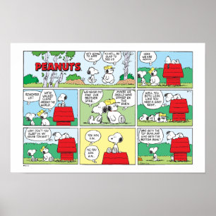 Affiche Snoopy et ses frères Andy et Olaf