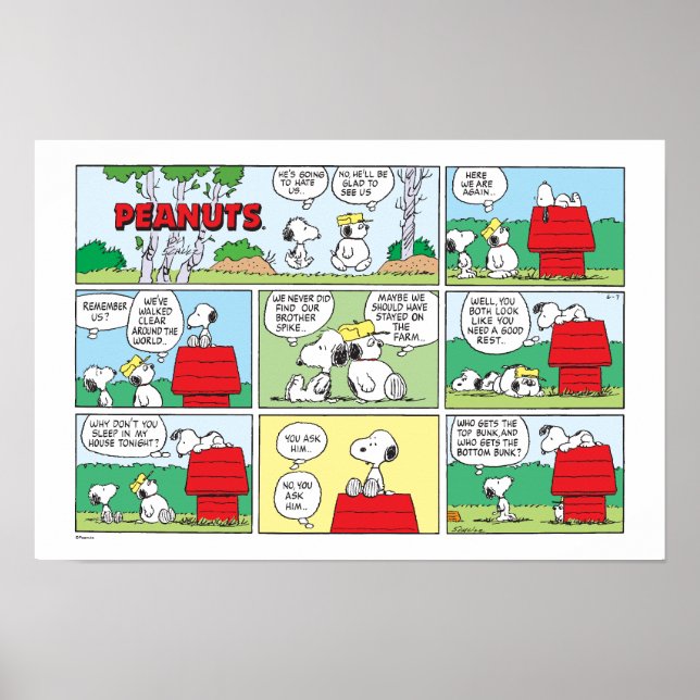 Affiche Snoopy et ses frères Andy et Olaf (Devant)