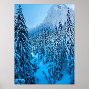 Affiche Snoqualmie Pass, État de Washington.