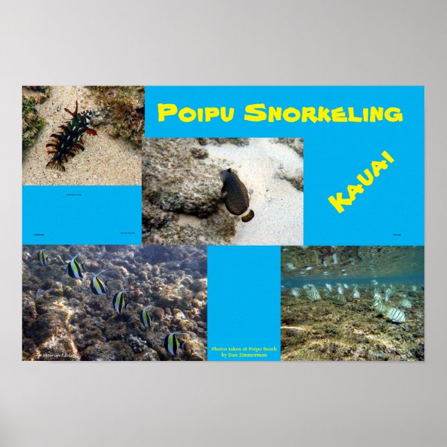 Affiche Snorkel Poipu (Devant)
