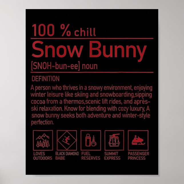 Affiche Snow Bunny Definition Funny Trendy Winter Skiing C (Devant)
