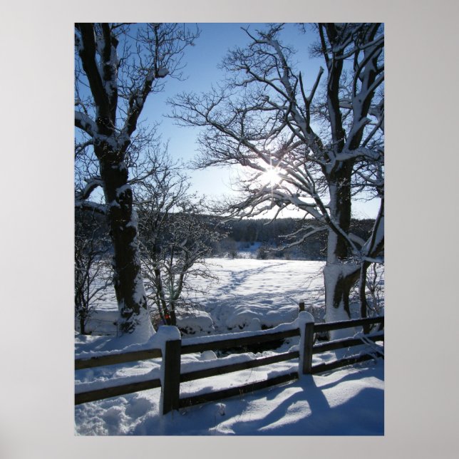 Affiche Snow Trail (Devant)