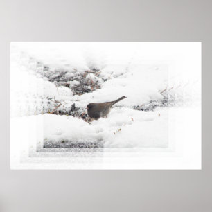 Affiche Snowbird 01